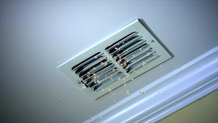 Best Residential Air Duct Cleaning  in Harrison, MI