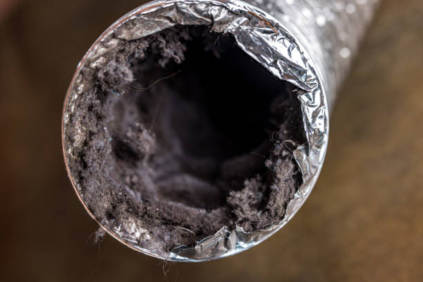 Best General Air Duct Cleaning  in Harrison, MI