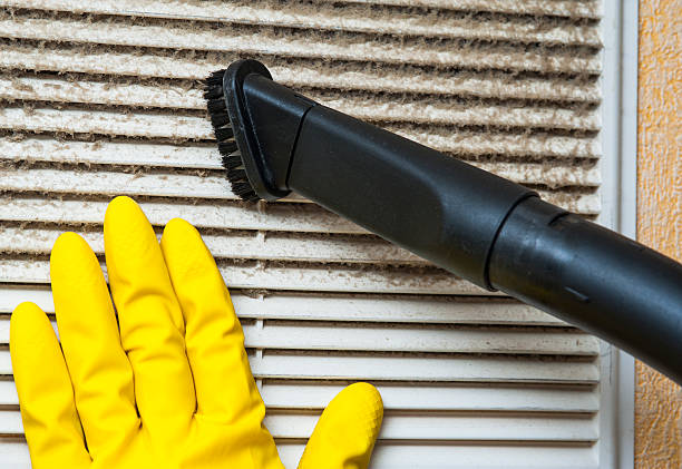 Best Home Air Vent Cleaning  in Harrison, MI